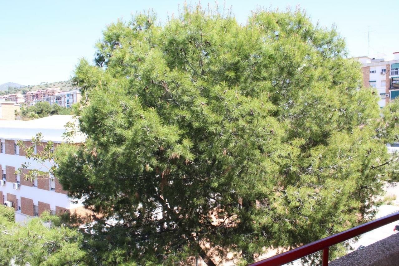 Apartamento Con Parking Gratuito Málaga Exterior foto